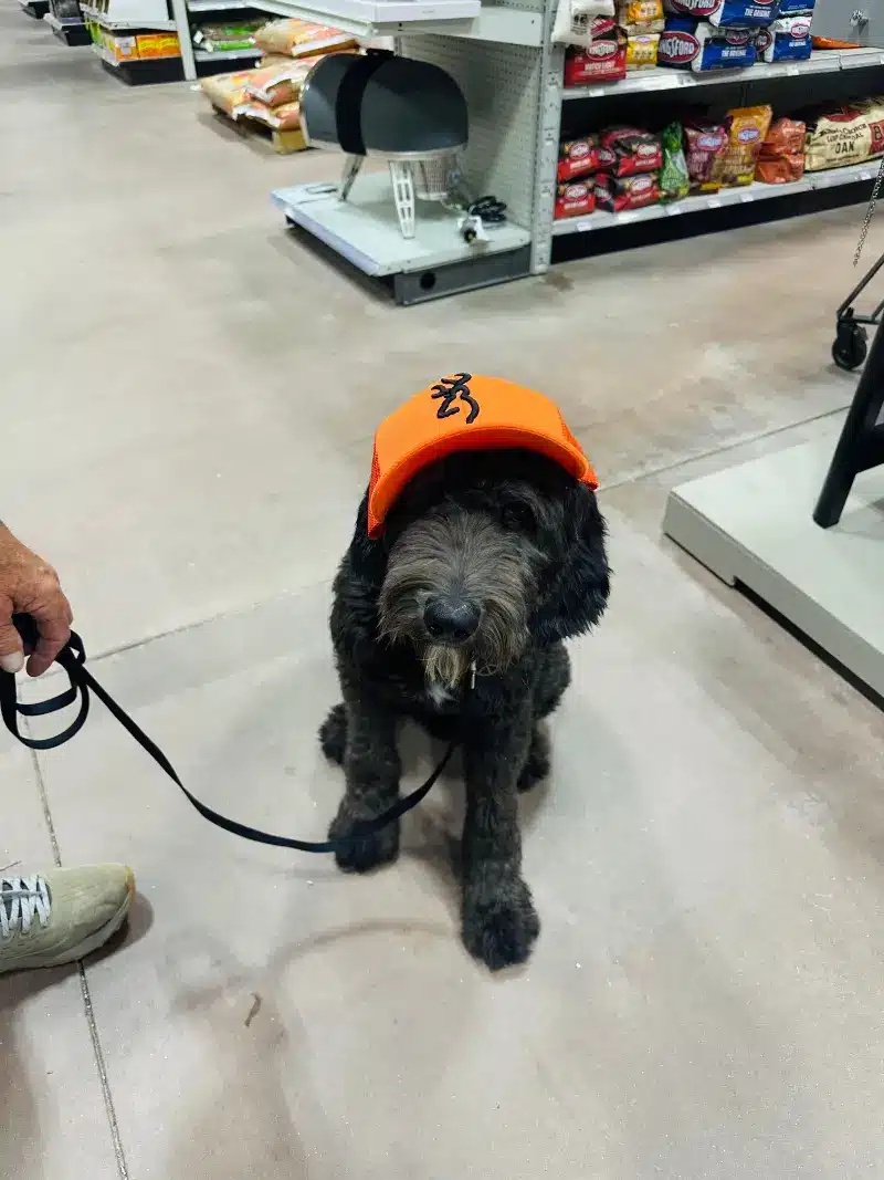 Valley Ace Hardware dog sporting goods
